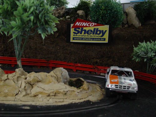 43º Rally Shelby ( janeiro )